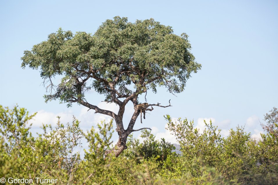 <h2>The Best of South Africa Escorted 2023</h2> 14 Nights | 6 Rounds | March 11 - 25